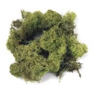 Icelandic moss, light green, tab-bag 100 g RAYHER