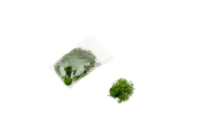 MUSGO 15GRS VERDE ESCURO