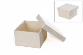 CAIXA 15.5X15.5X9.5CM PASSA FITA