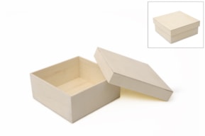CAIXA 19X19X8CM