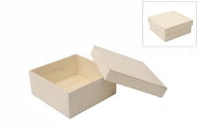 CAJA 19X19X8CM