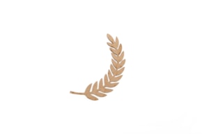 ESPIGA