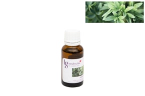 ESSENCIA 20ML ARRUDA