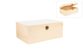 CAIXA 30X20X12CM
