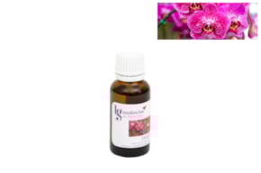 ESSENCIA 20ML ORQUIDEA