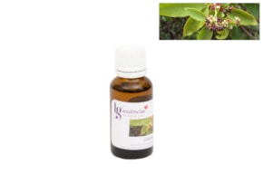 ESSENCIA 20ML SANDALO