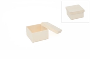 CAJA CHOUPO C/TAMPA 10x10x6CM