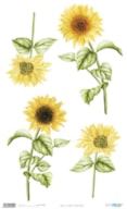 PAPEL ARROZ 54X33CM SUNFLOWERS PFY-4323