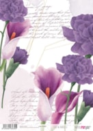 PAPEL ARROZ 21x29.7CM LIFE IN PURPLE II  PFY-4363