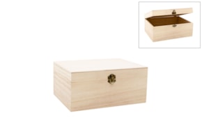 CAJA 25X19.5X11.5CM