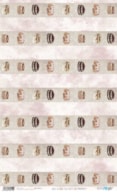 PAPEL ARROZ 54X33CM RICO RICO  PFY-4571
