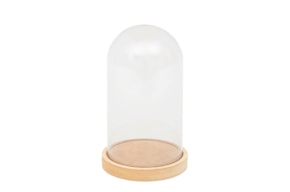 BOX WITH PLASTIC CLOCHE 11.5X18.5X1.6CM MDF