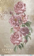 PAPEL ARROZ 54X33CM LA VIE EN FLEURS ROSES IV PFY-12718