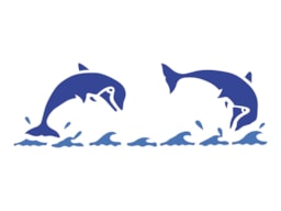 STENCIL 30X10CM DOLPHINS 300041285 ACRILEX