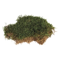 Moss, purified, tab-bag 30g