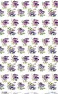 RICE PAPER 54X33CM FRUIT S MARKET II  GRAPE PFY-14222