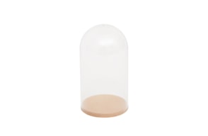 BOX WITH PLASTIC CLOCHE 18X8.3X8X1.6CM MDF