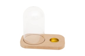 BOX WITH PLASTIC CLOCHE 20.6X10X18.5X1.6CM MDF