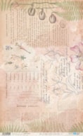 PAPEL ARROZ 54X33CM BOTANIC PFY-14589