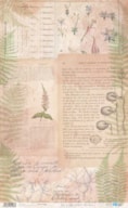 PAPEL ARROZ 54X33CM BOTANIC PFY-14588