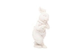 COELHO 2206  23CM