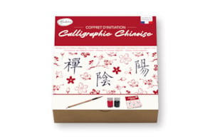 CONJUNTO INICIAÇAO CALIGRAFIA CHINESA  85517