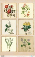 PAPEL ARROZ 54X33CM BOTANIC PFY-14597