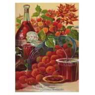 PAPEL ARROZ 32x45CM JAPANESE WINEBERRY 2390-9521