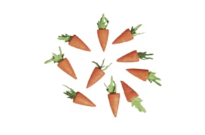Cotton wool carrot, 18 mm, tab-bag 10 pcs.