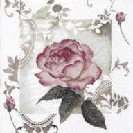 EMB. 20 GUARDANAPOS 33X33CM VINTAGE ROSE