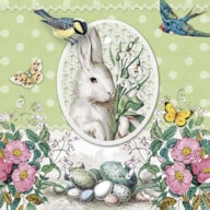 EMB. 20 GUARDANAPOS 33X33CM RABBIT GREEN