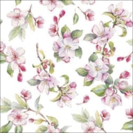 SET 20 NAPKIN 33X33CM SPRING BLOSSOM WHITE