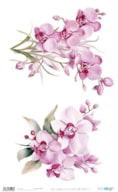 PAPEL ARROZ 54X33CM LA VIE EN FLEURS ORCHID VIII PFY-15128