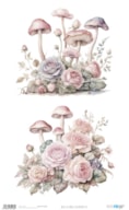 PAPEL ARROZ 54X33CM BLUSHROOMS VII PFY-15138