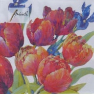 SET 20 NAPKIN 33x33CM TULIPS OF JOY