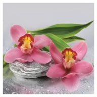 SET 20 NAPKIN 33x33CM ORQUIDEAS slog-039201