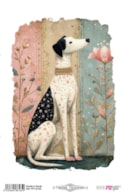 THERMO TRANSFERS 20X30CM PRECIOUS DOG I PFY-16165