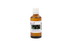ESSENCE 100ML BLACK ORCHID