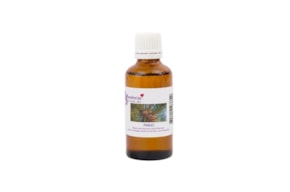 ESSENCE 50ML PINHO