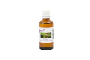 ESSENCE 100ML SANDALWOOD