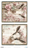 PAPEL ARROZ 54X33CM FARM & FLOWERS III  PFY-16043