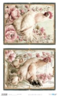 PAPEL ARROZ 54X33CM FARM & FLOWERS XII  PFY-16053