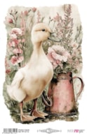 THERMO TRANSFERS 20X30CM FARM & FLOWERS DUCKS PFY-16116