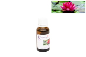ESSENCIA 20ML FLOR DE LOTUS